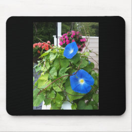 Brilliant Blue Morning Glories Mousepad