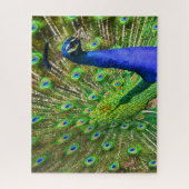 Brilliant Blue Peacock Jigsaw Puzzle (Vertikal)