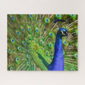 Brilliant Blue Peacock Jigsaw Puzzle (Horizontal)