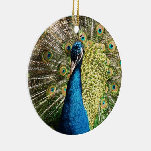 Brilliant Blue Peacock Keramik Ornament (Rechts)