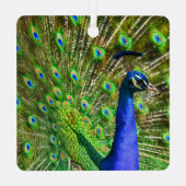 Brilliant Blue Peacock Metal Ornament (Rückseite)