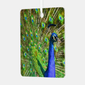 Brilliant Blue Peacock Metal Ornament Aus Metall (Vorderseite links)