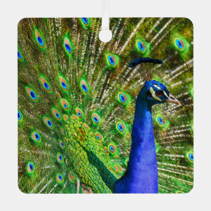 Brilliant Blue Peacock Metal Ornament Aus Metall