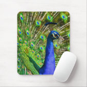 Brilliant Blue Peacock Mousepad (Mit Mouse)