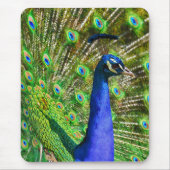 Brilliant Blue Peacock Mousepad (Vorne)