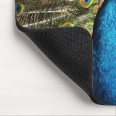 Brilliant Blue Peacock Mousepad (Ecke)