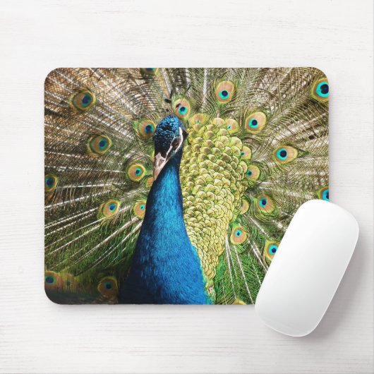 Brilliant Blue Peacock Mousepad (Mit Mouse)