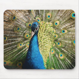 Brilliant Blue Peacock Mousepad