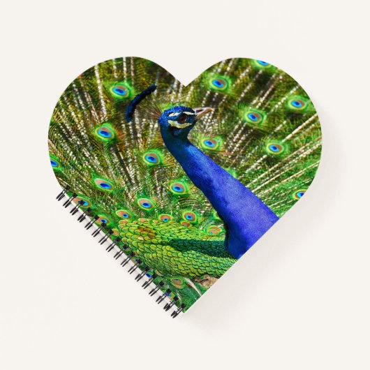 Brilliant Blue Peacock Notizblock (Vorderseite)