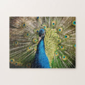 Brilliant Blue Peacock Puzzle (Horizontal)