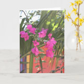 Brilliant Bougainvillea Karte (Gelbe Blume)