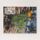 Brilliant California Poppies Nah-Up Fotograf Puzzle (Horizontal)