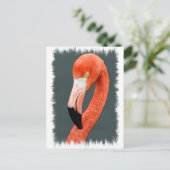 Brilliant Flamingo Postcard Postkarte (Stehend Vorderseite)