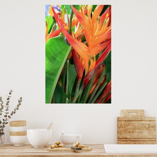 Brilliant Heliconia Poster (Küche)