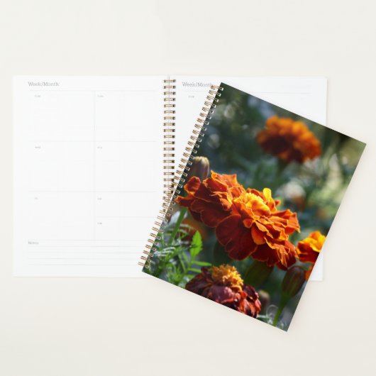 Brilliant Marigolds Macro Foto Planer (Anzeige)