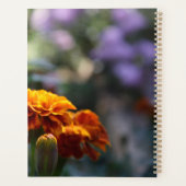 Brilliant Marigolds Macro Foto Planer (Rückseite)