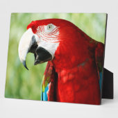 Brilliant Red Fotoplatte (Seite)