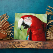 Brilliant Red Fotoplatte (Seite)