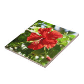 Brilliant Red Hawaiian Hibiskus Blume Fliese (Seite)