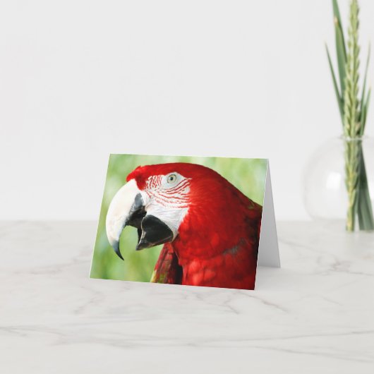 Brilliant Red Karte (Vorderseite)