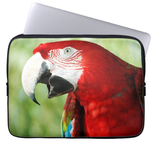 Brilliant Red Laptopschutzhülle (Vorderseite)