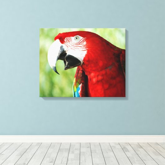 Brilliant Red Leinwanddruck (Insitu (Holzboden))