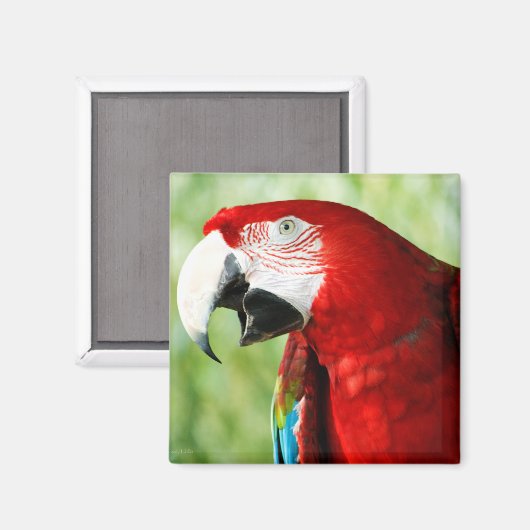 Brilliant Red Magnet (Vorderseite/Rückseite)