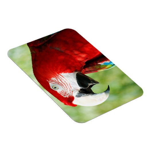 Brilliant Red Magnet (Rechte Seite)