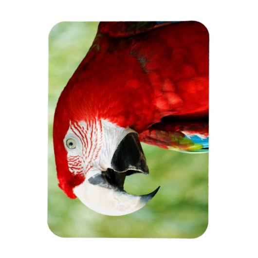 Brilliant Red Magnet (Vertikal)