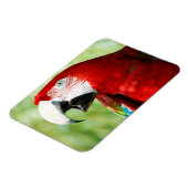 Brilliant Red Magnet (Linke Seite)