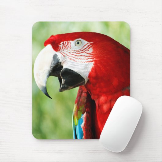 Brilliant Red Mousepad (Mit Mouse)