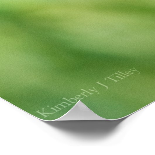 Brilliant Red Poster (Ecke)