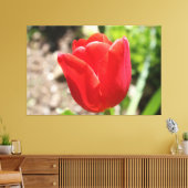 Brilliant Red Tulip Leinwanddruck (Insitu (Wohnzimmer))