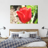 Brilliant Red Tulip Leinwanddruck (Insitu (Schlafzimmer))