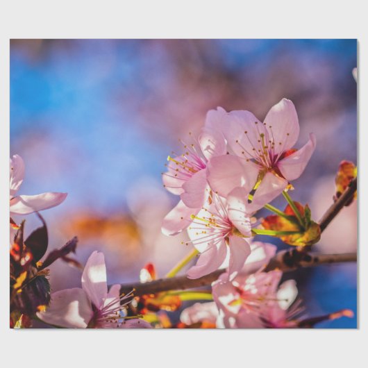 Brilliant Sakura-Blüten Geschenkpapier (Flach)