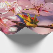 Brilliant Sakura-Blüten Geschenkpapier (Ecke)