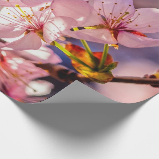 Brilliant Sakura-Blüten Geschenkpapier (Ecke)