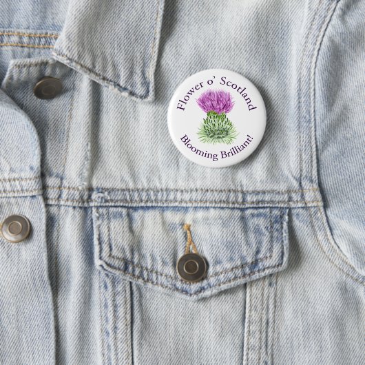 Brilliant Scottish Thistle blühen Button (Beispiel)
