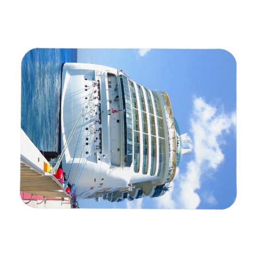 Brilliant Stern Magnet (Horizontal)