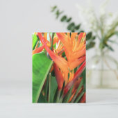 Brilliant Tropical Heliconia Florals Postkarte (Stehend Vorderseite)
