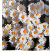 Brilliant White Daisies über Schwarze Flora Kunst Duschvorhang (Vorderseite)