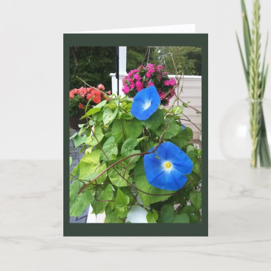 Brilliante Blaue Trichterwinden Blanko  Karte (Vorderseite)