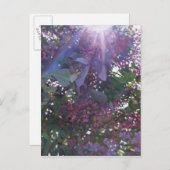 Brillianz 2014 postkarte (Vorne/Hinten)