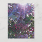 Brillianz 2014 postkarte (Vorderseite)