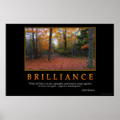 Brillianz Poster (Vorne)