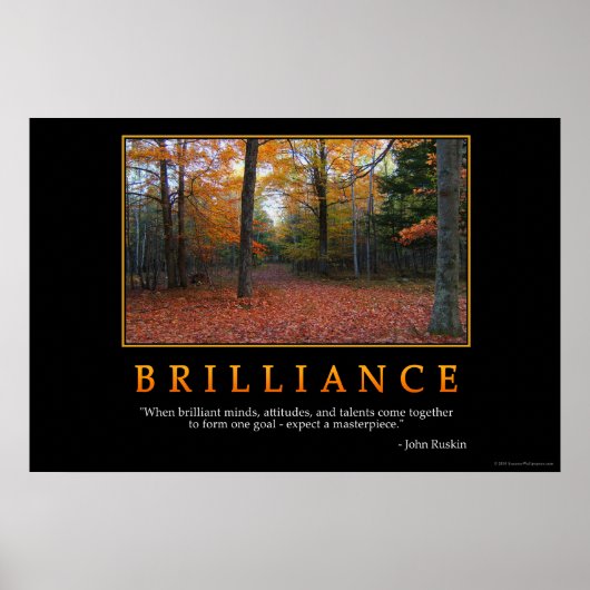 Brillianz Poster (Vorne)