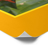 Brillianz Zen Medizin Orange Blume Foto Poster (Ecke)