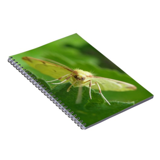 Brimstone-ModemNotebook Notizblock (Rechte Seite)