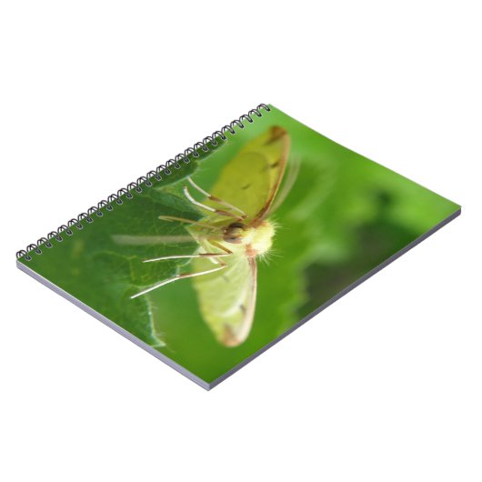 Brimstone-ModemNotebook Notizblock (Linke Seite)