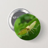 Brimstone Moth Button (Vorne & Hinten)